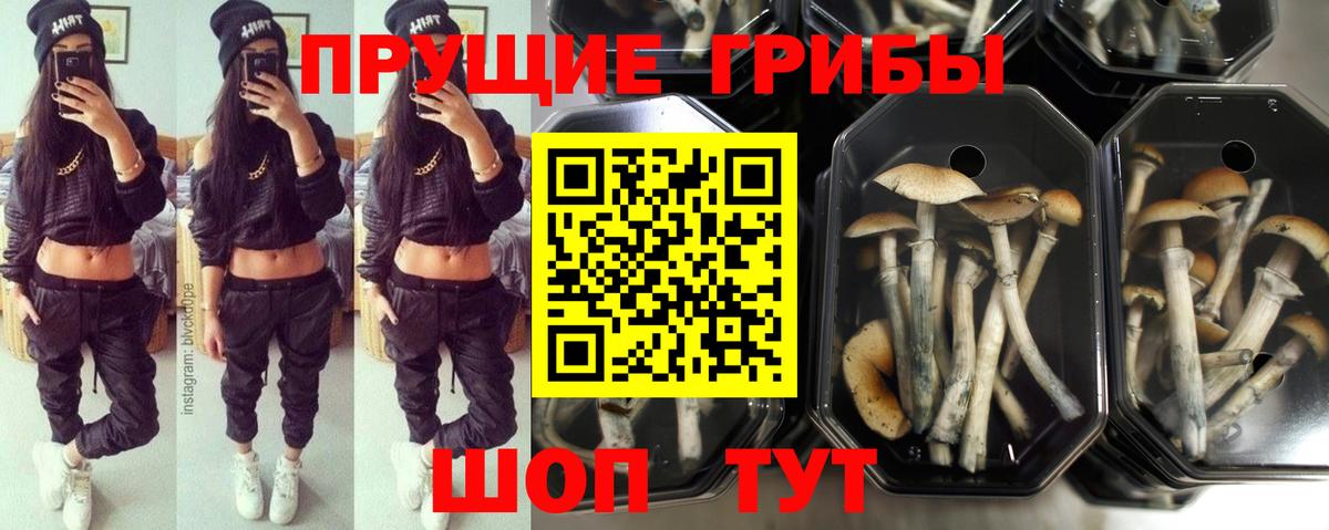 Старая Купавна  где найти наркотики  Вход с VPN  Галлюциногенные грибы мухоморы 